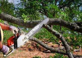 Best Utility Line Clearance  in Peridot, AZ